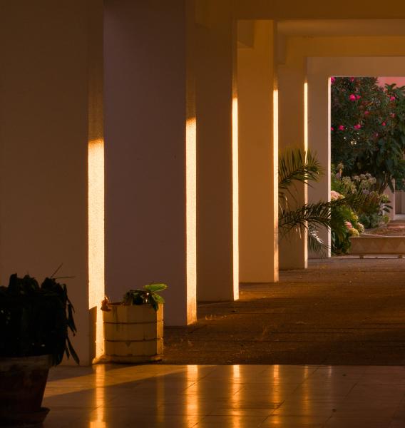 Around My Neighborhood