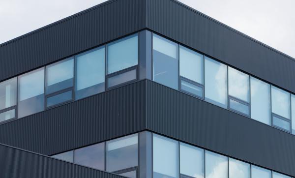 Author: Joao Delille