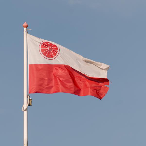 Author: Joao Delille