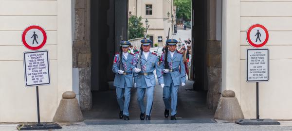 Author: Joao Delille