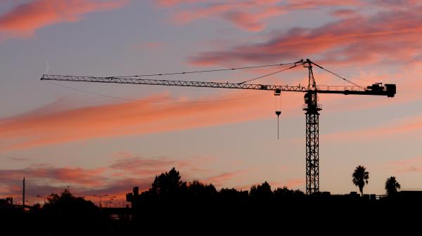 Author: Joao Delille