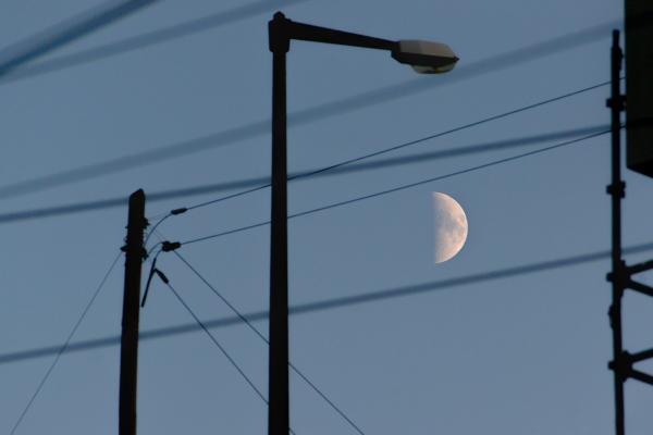 Author: Joao Delille